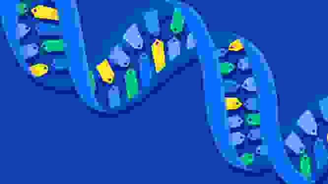 An illustration of a DNA spiral made up of tags, representing tags and permissions