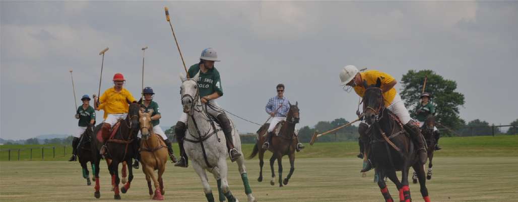 People playing polo