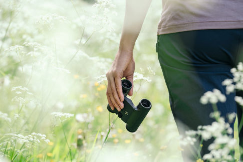 Person in a garden holding Swarovski binoculars