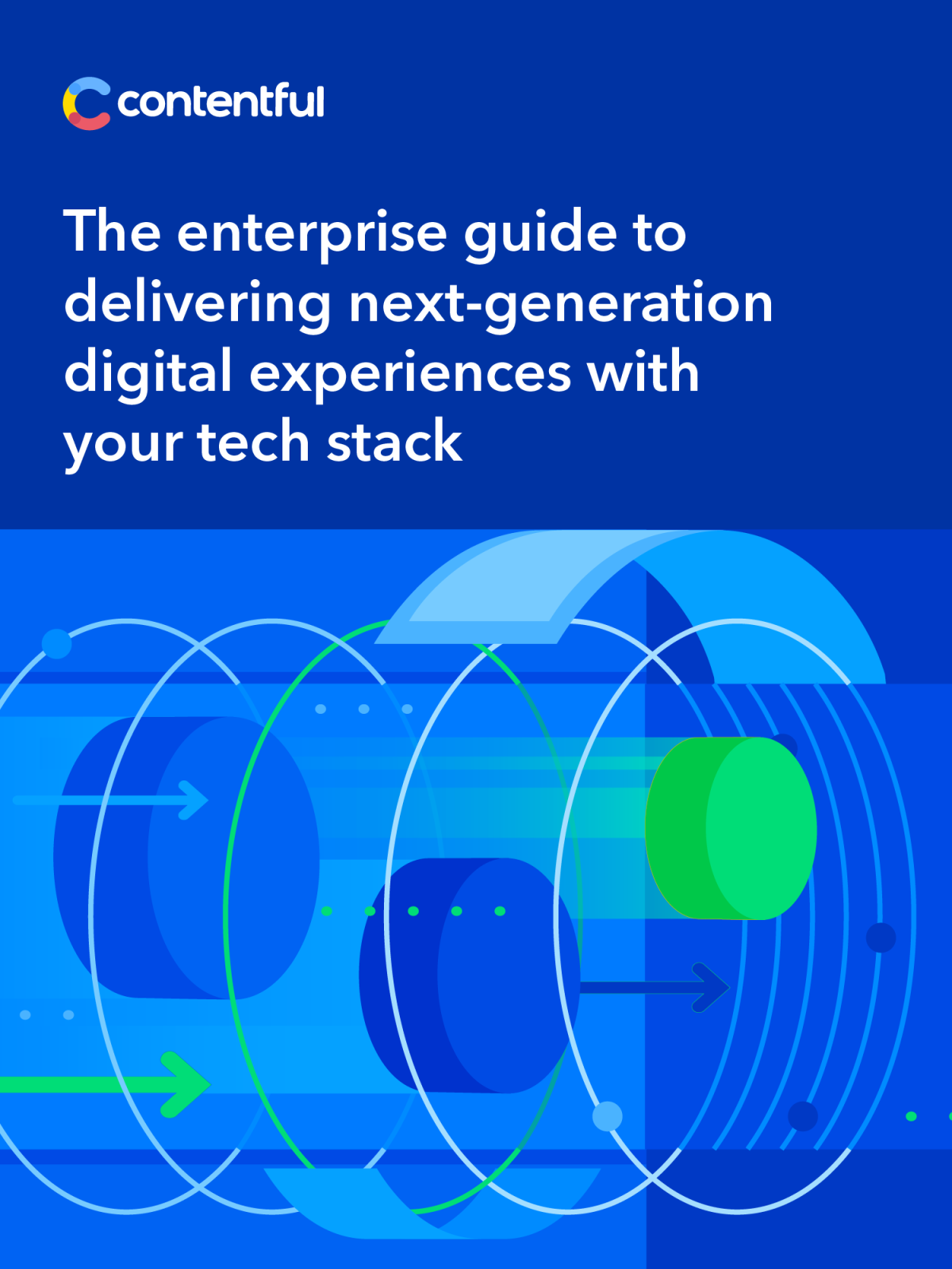 Whitepaper - The enterprise guide to delivering